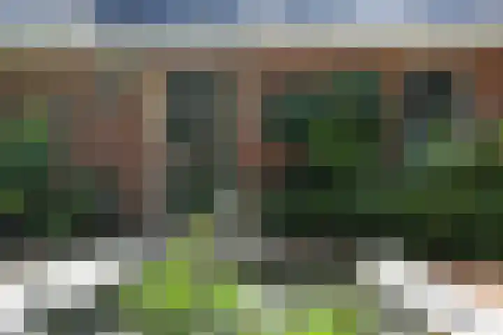 Jinkepaed 5 Twijzelerheide thumbnail 39