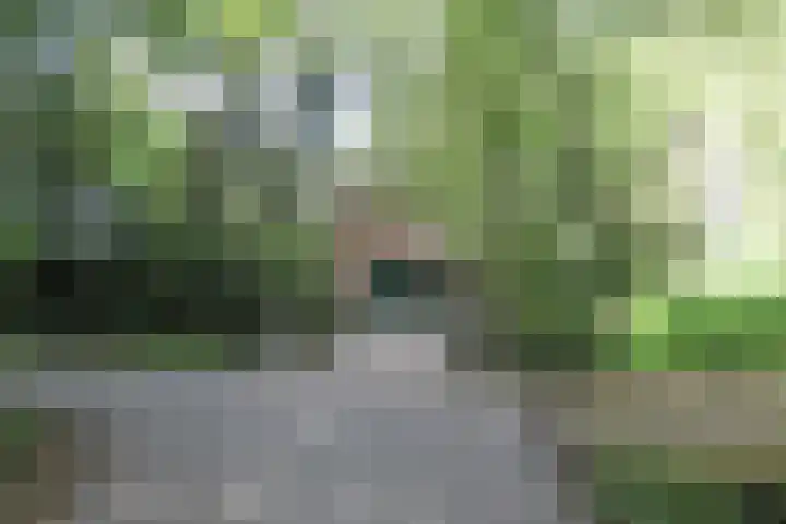 Jinkepaed 5 Twijzelerheide thumbnail 4