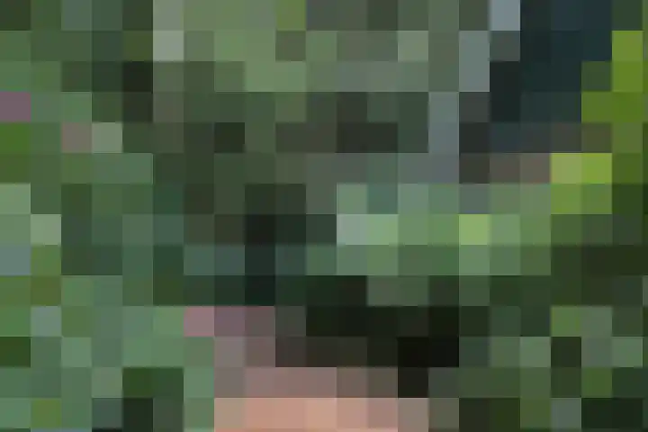 Jinkepaed 5 Twijzelerheide thumbnail 40