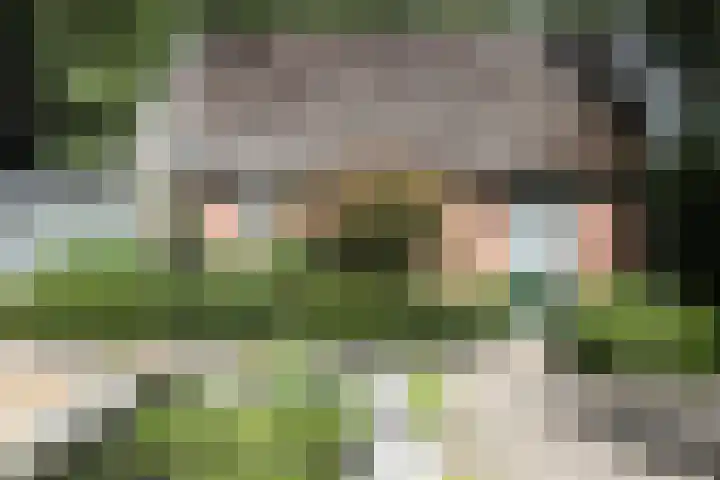 Jinkepaed 5 Twijzelerheide thumbnail 41