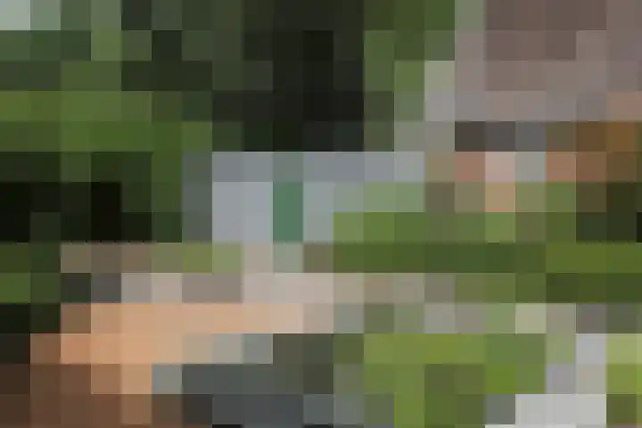 Jinkepaed 5 Twijzelerheide thumbnail 42