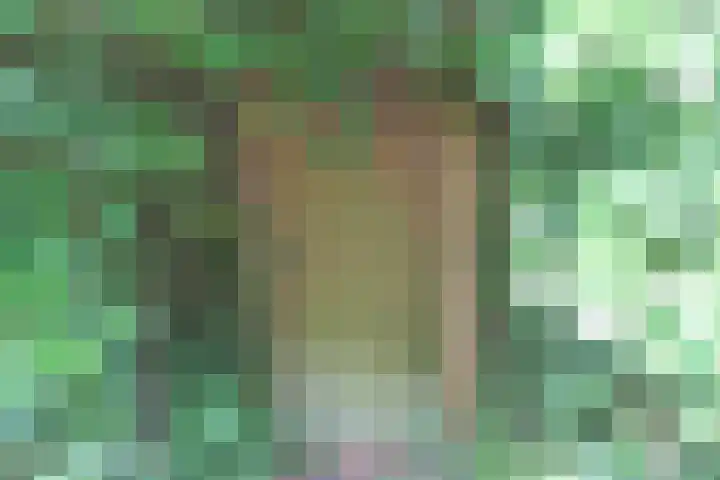Jinkepaed 5 Twijzelerheide thumbnail 43