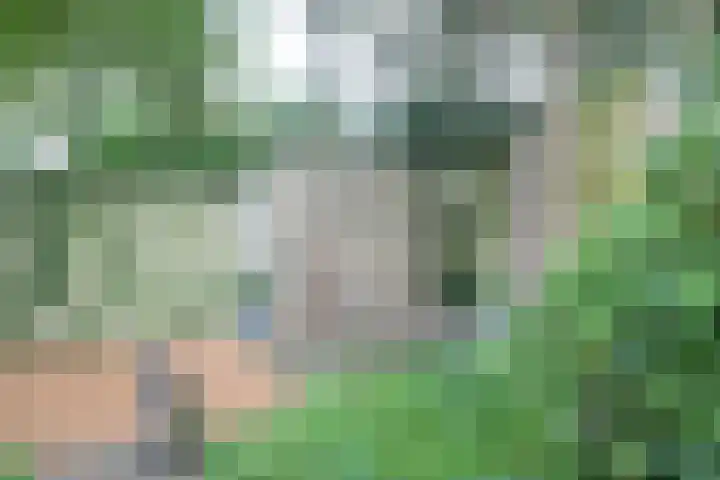 Jinkepaed 5 Twijzelerheide thumbnail 44