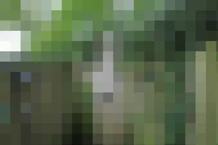 Jinkepaed 5 Twijzelerheide thumbnail 45