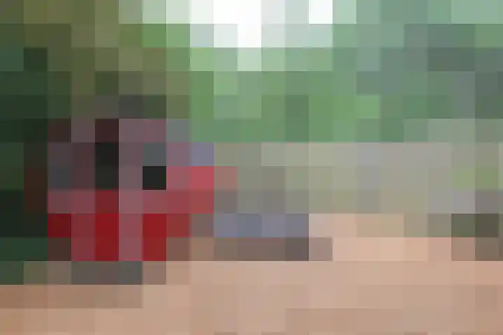 Jinkepaed 5 Twijzelerheide thumbnail 46