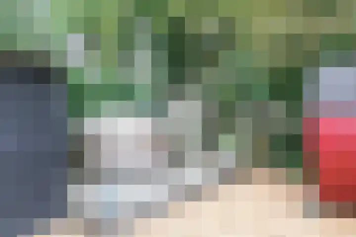 Jinkepaed 5 Twijzelerheide thumbnail 47