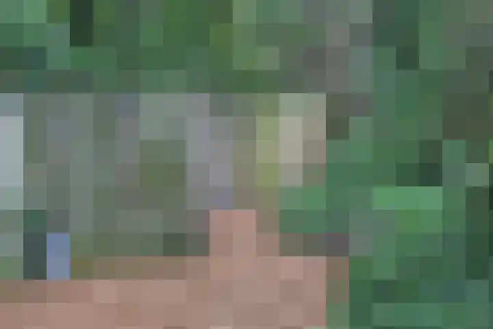 Jinkepaed 5 Twijzelerheide thumbnail 48