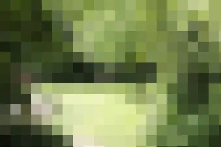 Jinkepaed 5 Twijzelerheide thumbnail 49