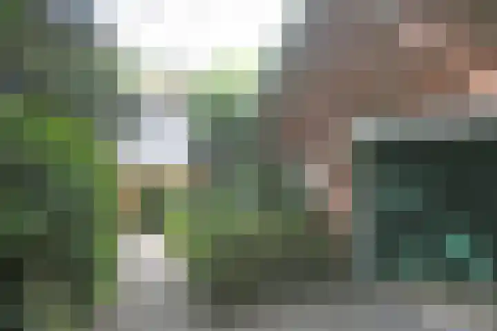 Jinkepaed 5 Twijzelerheide thumbnail 5