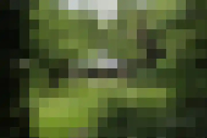 Jinkepaed 5 Twijzelerheide thumbnail 50