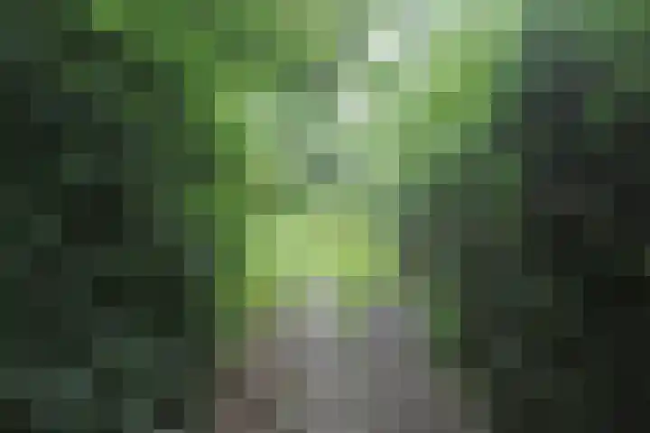 Jinkepaed 5 Twijzelerheide thumbnail 51