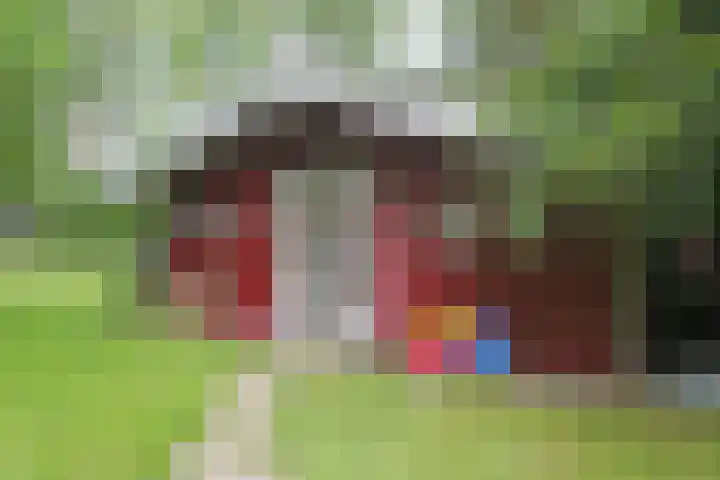 Jinkepaed 5 Twijzelerheide thumbnail 52