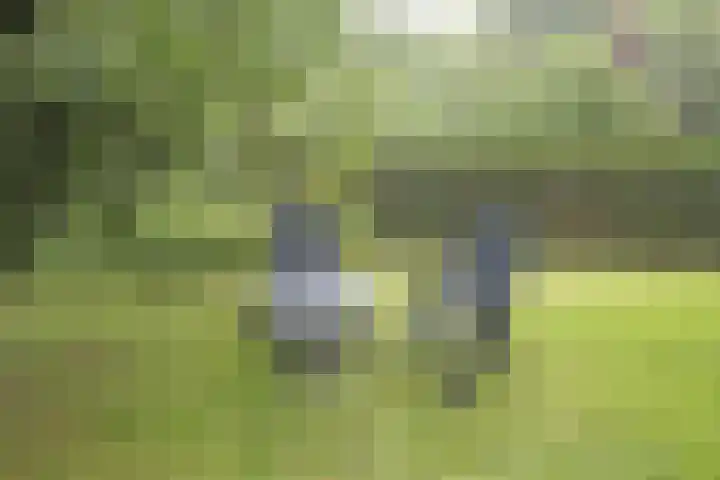 Jinkepaed 5 Twijzelerheide thumbnail 53