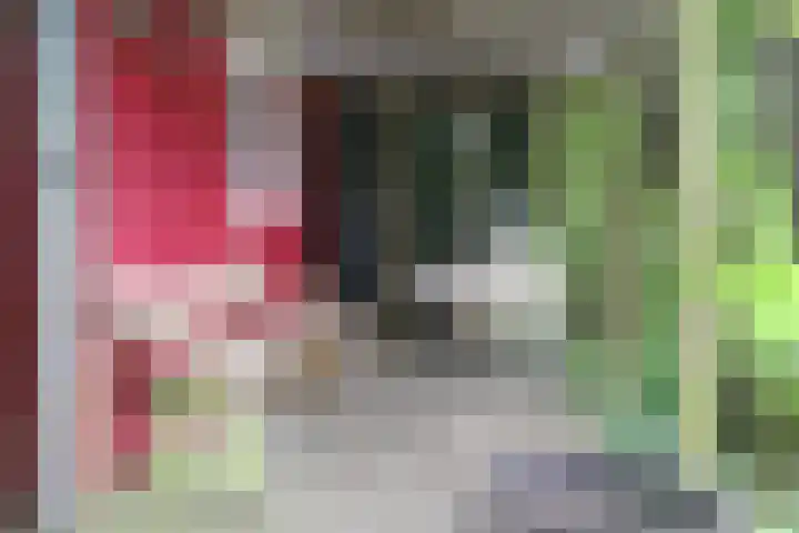 Jinkepaed 5 Twijzelerheide thumbnail 59