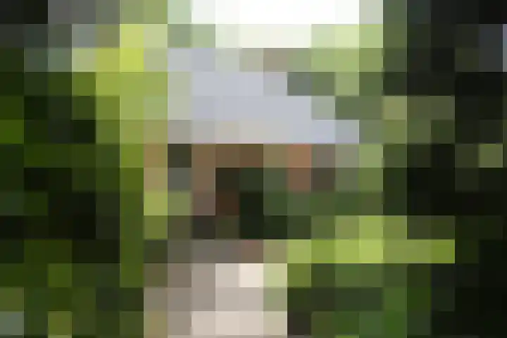 Jinkepaed 5 Twijzelerheide thumbnail 6