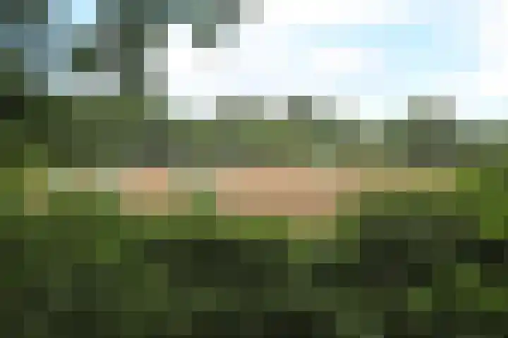 Jinkepaed 5 Twijzelerheide thumbnail 60