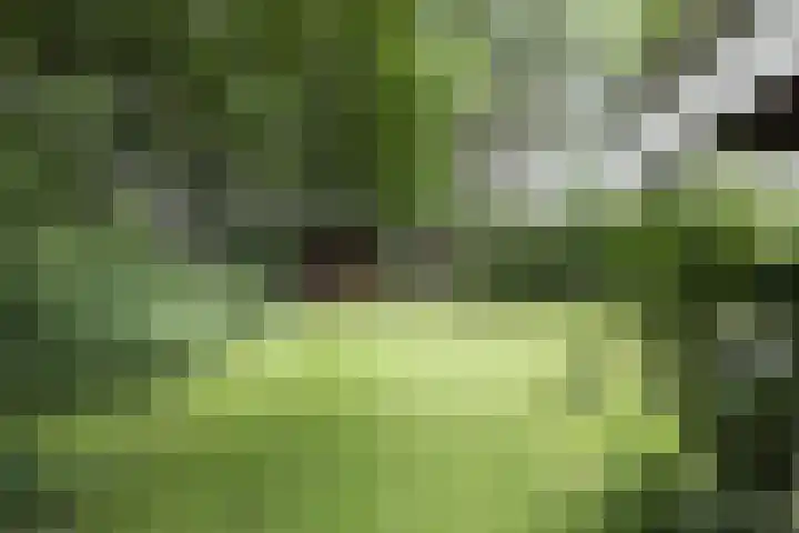 Jinkepaed 5 Twijzelerheide thumbnail 61