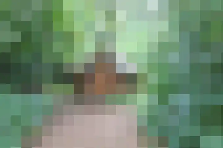 Jinkepaed 5 Twijzelerheide thumbnail 62