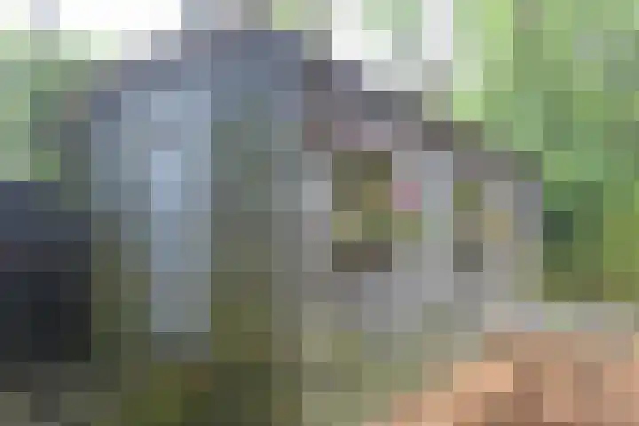 Jinkepaed 5 Twijzelerheide thumbnail 65