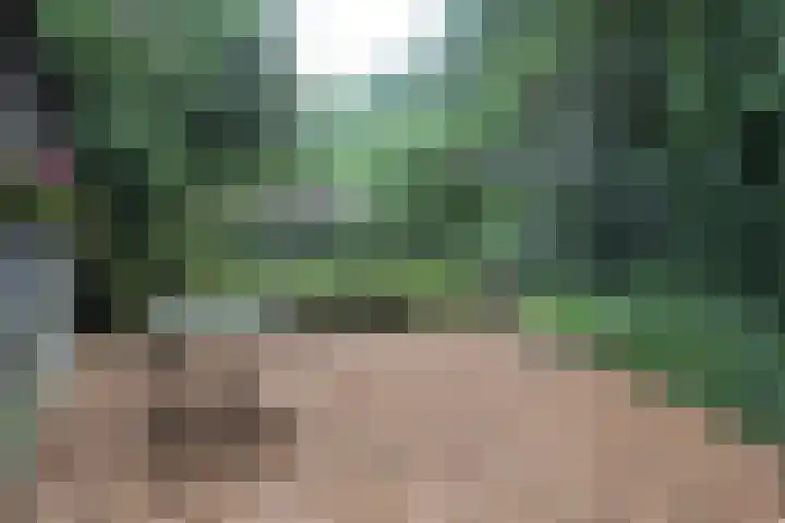 Jinkepaed 5 Twijzelerheide thumbnail 67