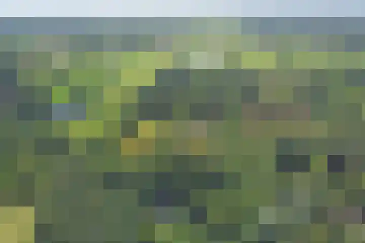 Jinkepaed 5 Twijzelerheide thumbnail 68