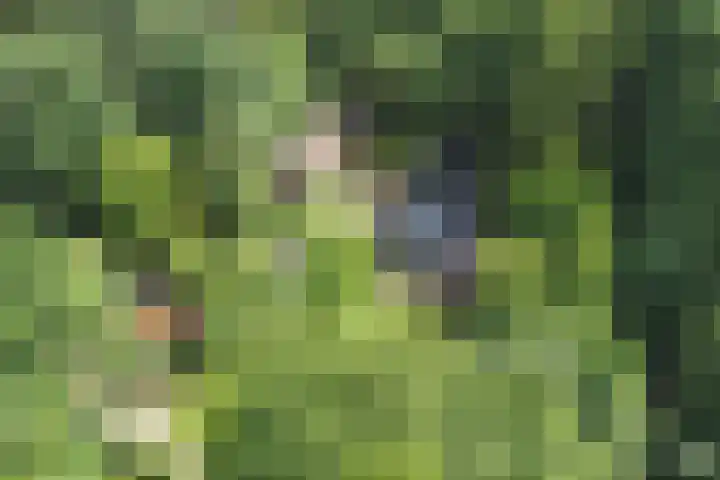 Jinkepaed 5 Twijzelerheide thumbnail 69