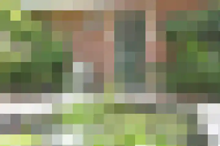 Jinkepaed 5 Twijzelerheide thumbnail 7