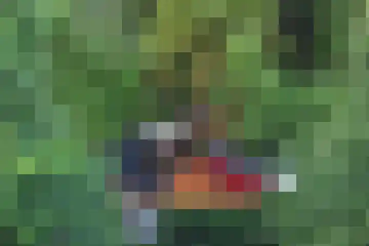 Jinkepaed 5 Twijzelerheide thumbnail 70