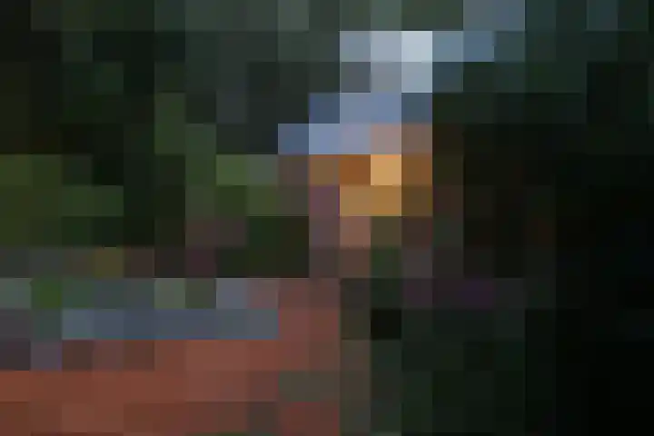 Jinkepaed 5 Twijzelerheide thumbnail 74