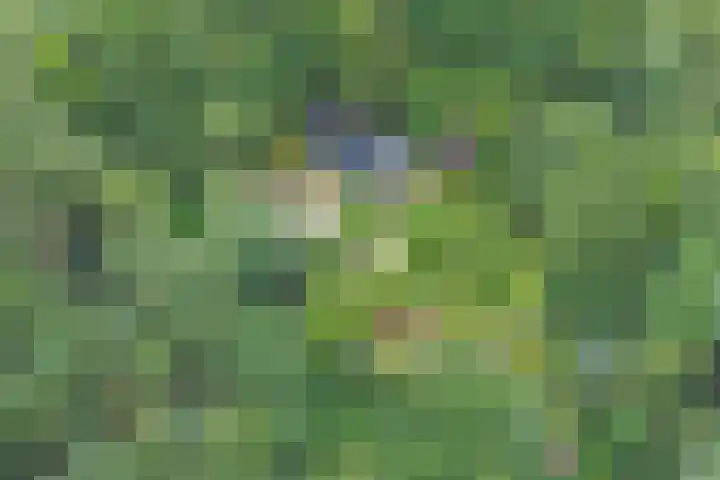 Jinkepaed 5 Twijzelerheide thumbnail 81