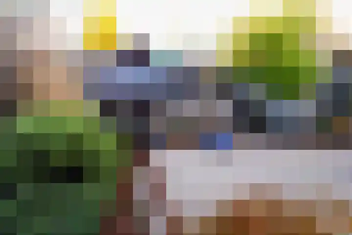 Jinnahsingel 6 Rotterdam thumbnail 38