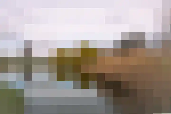 Jinnahsingel 8 Rotterdam thumbnail 30