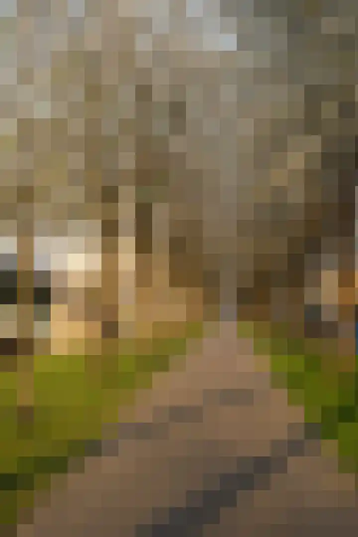 Jinnahsingel 8 Rotterdam thumbnail 39