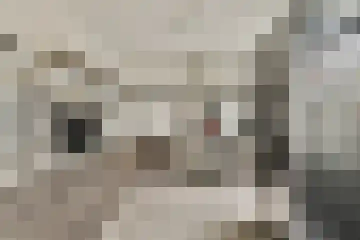 Jinnahsingel 8 Rotterdam thumbnail 4