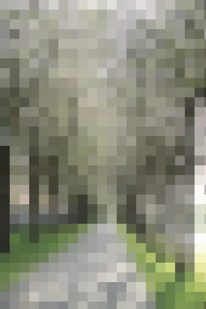 Jinnahsingel 8 Rotterdam thumbnail 51
