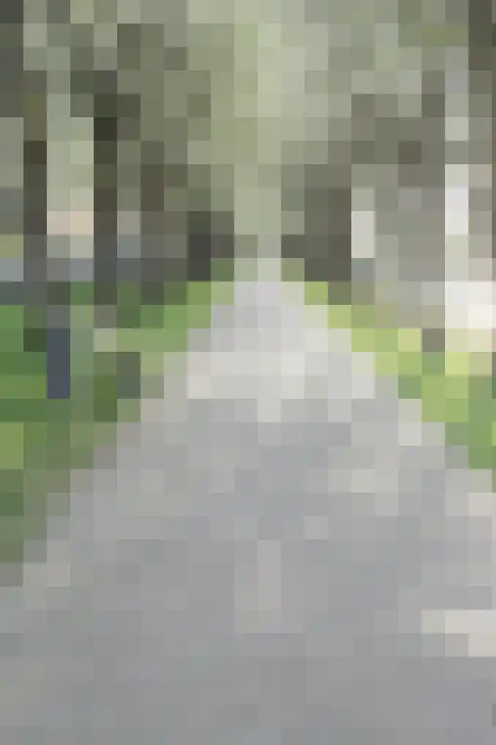Jinnahsingel 8 Rotterdam thumbnail 53