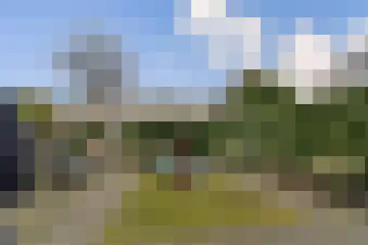 Jinnahsingel 8 Rotterdam thumbnail 7