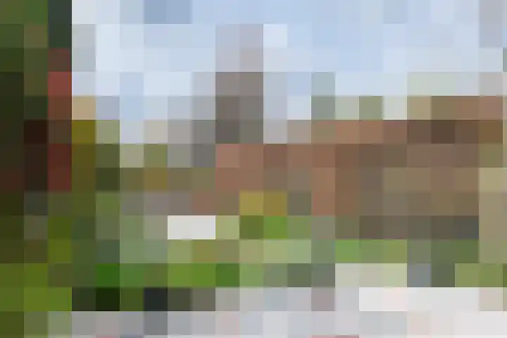 Jinnahsingel 9 Rotterdam thumbnail 15