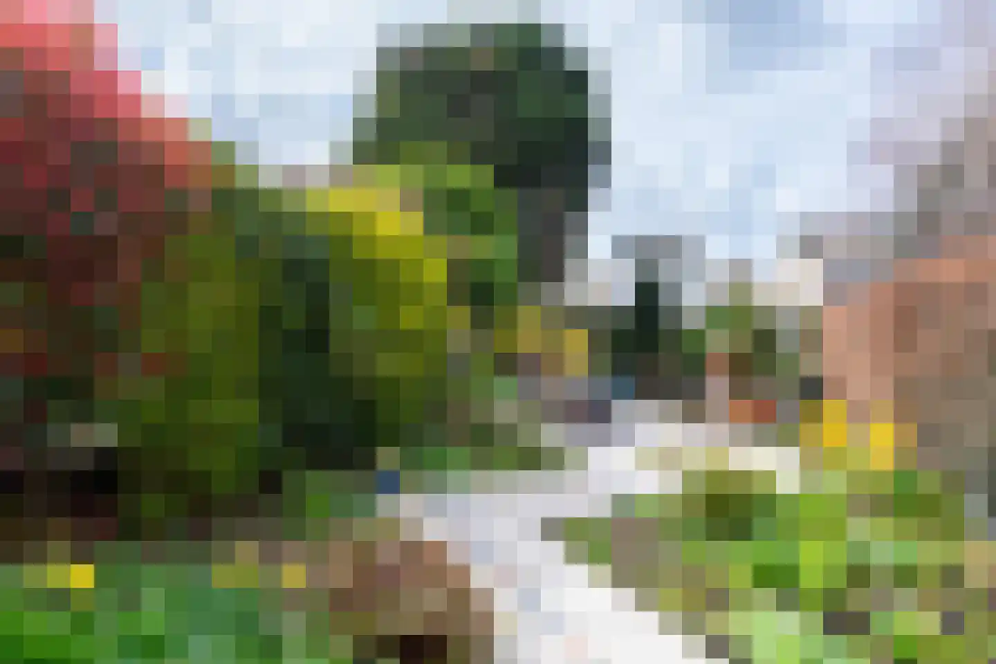 Jinnahsingel 9 Rotterdam thumbnail 16
