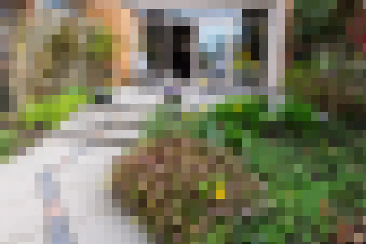 Jinnahsingel 9 Rotterdam thumbnail 19