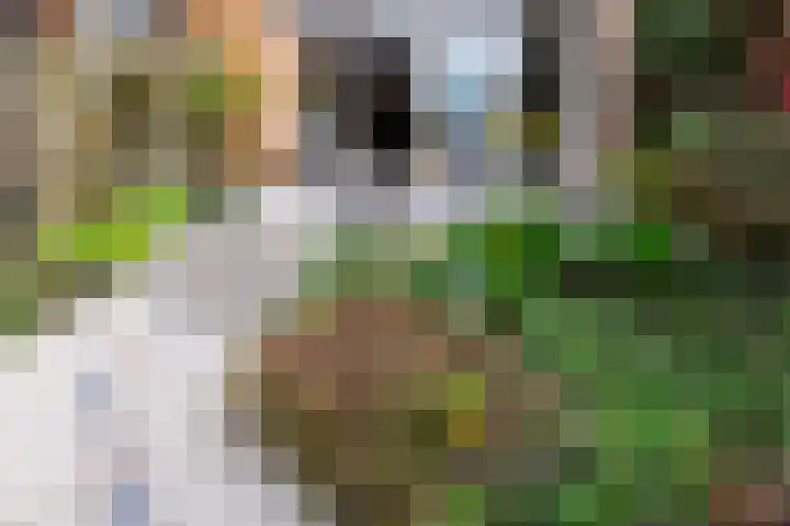 Jinnahsingel 9 Rotterdam thumbnail 19
