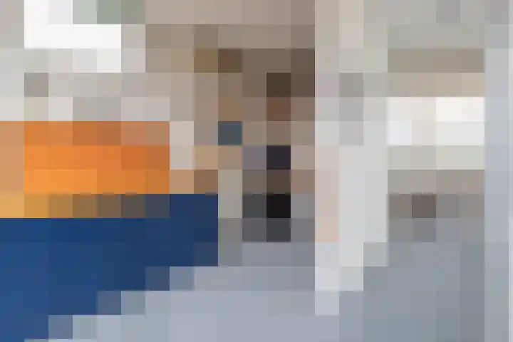 Jinnahsingel 9 Rotterdam thumbnail 36