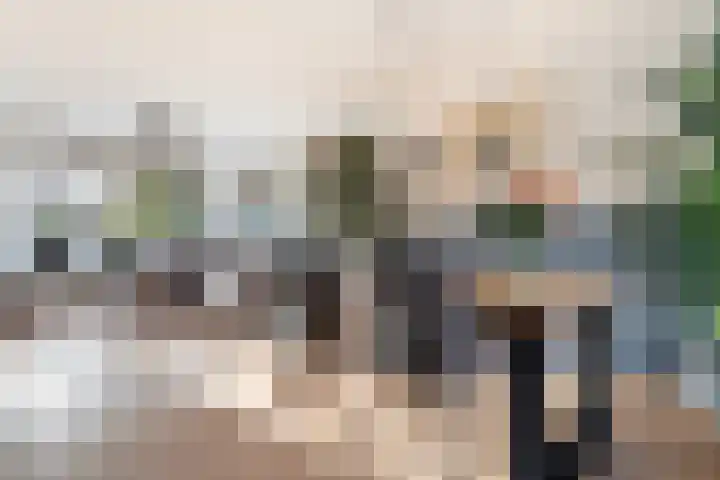 Jintewarren 27 Hurdegaryp thumbnail 11