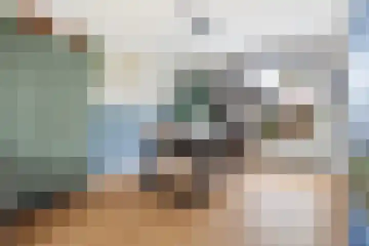 Jintewarren 27 Hurdegaryp thumbnail 12