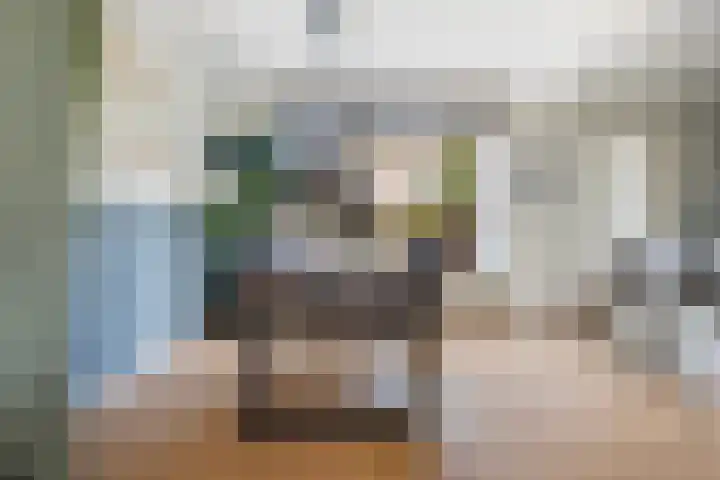 Jintewarren 27 Hurdegaryp thumbnail 13