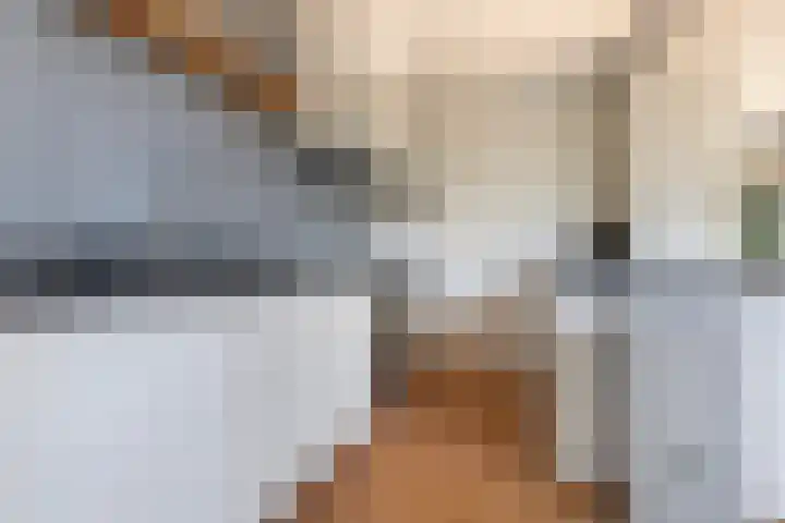 Jintewarren 27 Hurdegaryp thumbnail 16