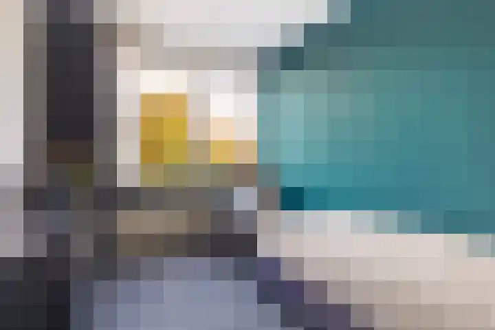 Jintewarren 27 Hurdegaryp thumbnail 21