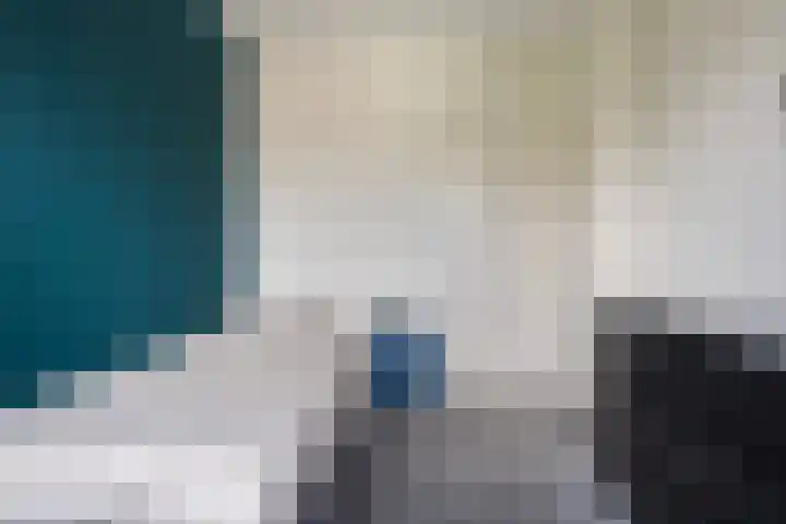 Jintewarren 27 Hurdegaryp thumbnail 22