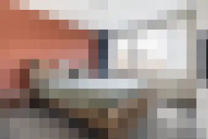 Jintewarren 27 Hurdegaryp thumbnail 23