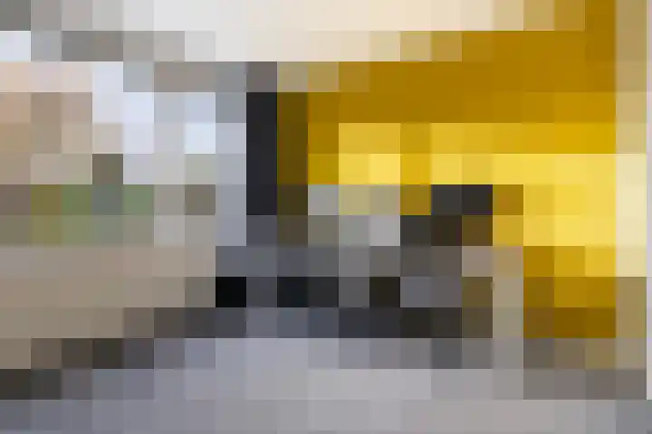 Jintewarren 27 Hurdegaryp thumbnail 25